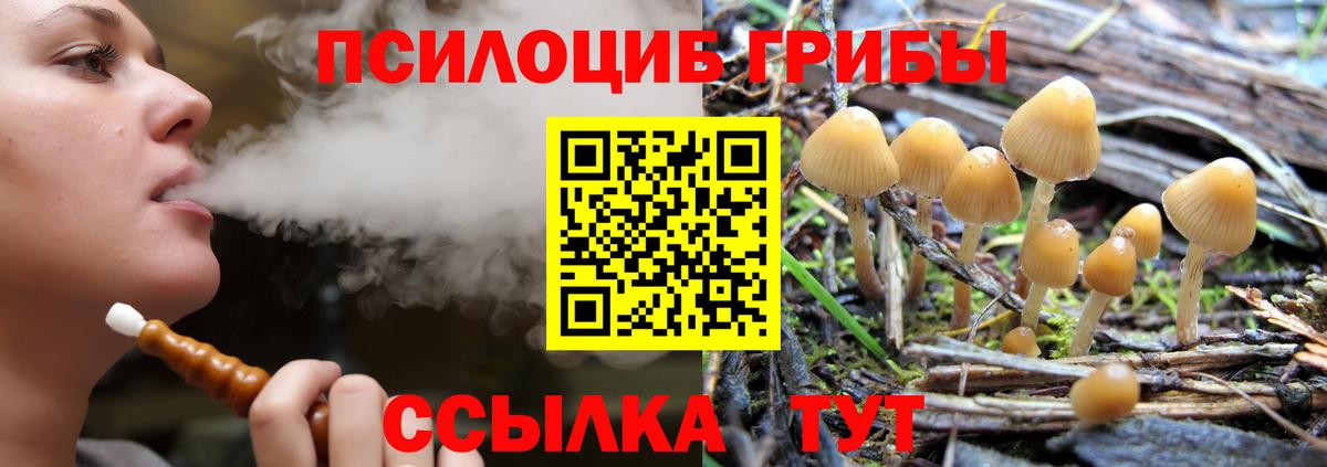Галлюциногенные грибы мухоморы  Вход с VPN  Торжок 